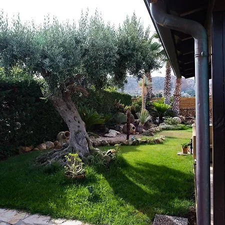 Anna Maria Villa