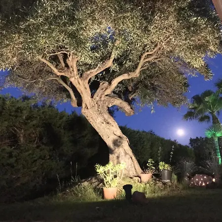 Villa Anna Maria *